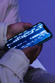 手机网站与微网站建设